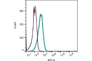 Cell surface detection of MRGPRX2 by indirect flow cytometry in live intact human KU812 basophilic leukemia cell line: + goat-anti-rabbit-APC. (MRGPRX2 Antikörper  (Extracellular))