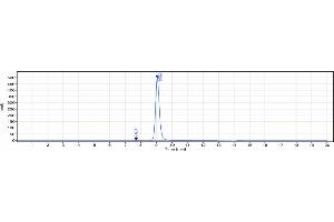 The purity of Anti-NCAM1 / CD56 Reference Antibody (lorvotuzumab) is 99.