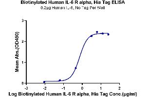 Immobilized Human IL-6, No Tag at 2 μg/mL (100 μL/well) on the plate. (IL6RA Protein (His-Avi Tag,Biotin))