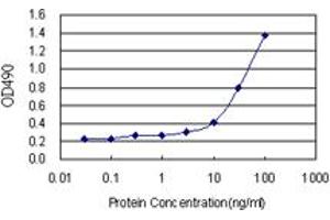 C4BPB (Human) Matched Antibody Pair