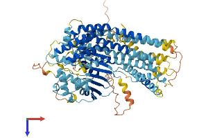 C8orf80 Protein (AA 1-796) (His tag)
