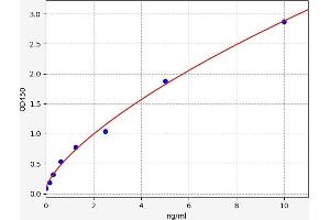 MSRB2 ELISA Kit