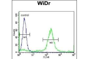 ADDEC1 Antibody (N-term) (ABIN653064 and ABIN2842665) flow cytometric analysis of WiDr cells (right histogr) compared to a negative control cell (left histogr). (ADAMDEC1 Antikörper  (N-Term))