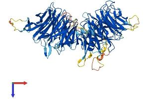 ELP2 Protein (AA 1-831) (His tag)