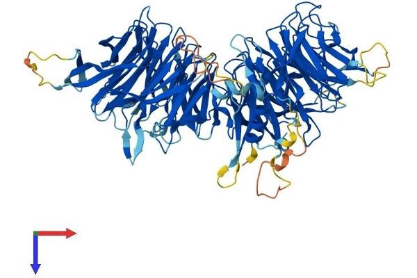 ELP2 Protein (AA 1-831) (His tag)