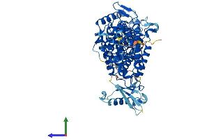Protein Structure (PS) image for Histidine Ammonia-Lyase (HAL) (AA 1-657) protein (His tag) (ABIN7548393)