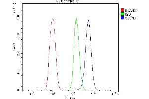 Flow Cytometry analysis of PC-3 cells using anti-Claudin 3/CLDN3 antibody (ABIN7602816). (Claudin 3 Antikörper  (C-Term))