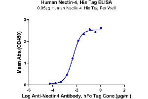 PVRL4 Protein (AA 32-351) (His-Avi Tag)