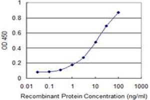 Detection limit for recombinant GST tagged RBM3 is 0. (RBM3 Antikörper  (AA 1-80))