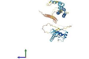 Protein Structure (PS) image for EP300 Interacting Inhibitor of Differentiation 3 (EID3) (AA 1-375) protein (His tag) (ABIN7557340)