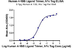 ELISA image for Tumor Necrosis Factor (Ligand) Superfamily, Member 9 (TNFSF9) (AA 71-254), (Trimer) protein (Fc Tag) (ABIN7273929)