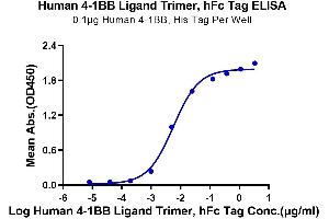Immobilized Human 4-1BB, His Tag at 1 μg/mL (100 μL/Well) on the plate. (TNFSF9 Protein (Trimer) (Fc Tag))