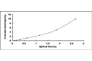 Typical standard curve (CCDC80 ELISA Kit)