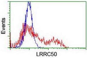 HEK293T cells transfected with either RC205452 overexpress plasmid (Red) or empty vector control plasmid (Blue) were immunostained by anti-LRRC50 antibody (ABIN2455698), and then analyzed by flow cytometry. (LRRC50 Antikörper)