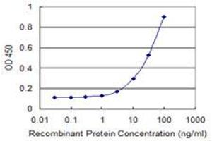 Detection limit for recombinant GST tagged FOXC2 is 1 ng/ml as a capture antibody. (FOXC2 Antikörper  (AA 156-256))