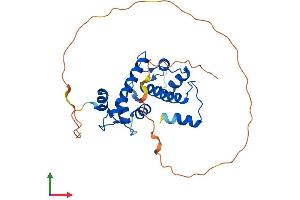 Protein Structure (PS) image for Penta-EF-Hand Domain Containing 1 (PEF1) (AA 1-284) protein (His tag) (ABIN7550724)