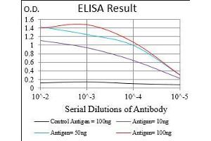 Black line: Control Antigen (100 ng), Purple line: Antigen(10 ng), Blue line: Antigen (50 ng), Red line: Antigen (100 ng), (CD68 Antikörper  (AA 42-155))