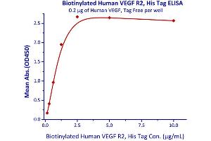 Binding Studies (Bind) image for VEGF Receptor 2 (VEGFR2) (AA 20-764) (Active) protein (His tag,AVI tag,Biotin) (ABIN3137661)