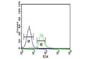 Flow Cytometry (FACS) image for anti-Transcription Factor 4 (TCF4) (AA 48-73) antibody (ABIN3029194)