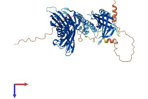 ACOT11 Protein (AA 1-607) (His tag)