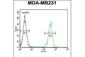 Flow cytometric analysis of MDA-MB231 cells (right histogram) compared to a negative control cell (left histogram). (CYP2A7 Antikörper  (AA 121-148))