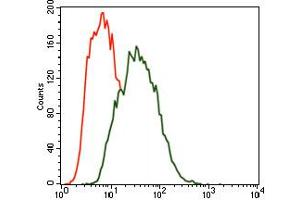 Image no. 4 for anti-MAP/microtubule Affinity-Regulating Kinase 3 (MARK3) antibody (ABIN1491518) (MARK3 Antikörper)
