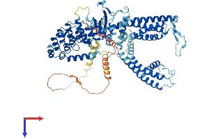 TRPV5 Protein (AA 1-729) (His tag)