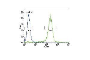 SOCS1 Antibody (N-term) (ABIN652738 and ABIN2842489) flow cytometric analysis of WiDr cells (right histogram) compared to a negative control cell (left histogram). (SOCS1 Antikörper  (N-Term))