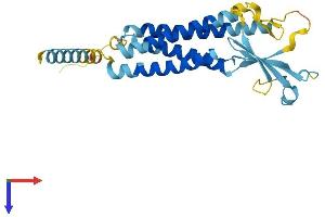 CACNG6 Protein (AA 1-260) (His tag)