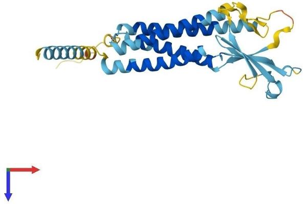 CACNG6 Protein (AA 1-260) (His tag)