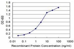 Detection limit for recombinant GST tagged HEY1 is approximately 0. (HEY1 Antikörper  (AA 121-220))
