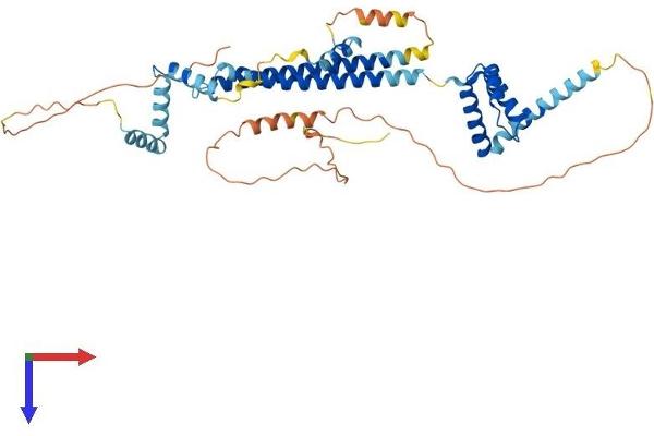 PBX3 Protein (AA 1-434) (His tag)