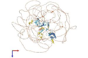 ASXL1 Protein (AA 1-1514) (His tag)