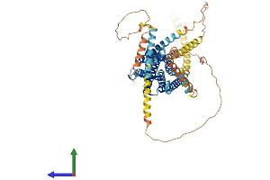 Protein Structure (PS) image for G Protein-Coupled Receptor 161 (GPR161) (AA 1-545) protein (His tag) (ABIN7562047)