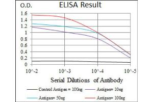 Red: Control Antigen (100ng) ; Purple: Antigen (10ng) ; Green: Antigen (50ng) ; Blue: Antigen (100ng). (CEBPA Antikörper)