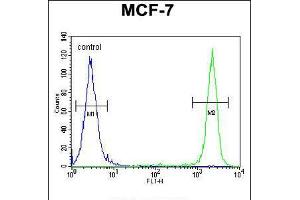 Flow cytometric analysis of MCF-7 cells (right histogram) compared to a negative control cell (left histogram). (SEL1L Antikörper  (AA 156-182))