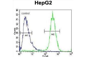 TYROBP Antibody (C-term) flow cytometric analysis of HepG2 cells (right histogram) compared to a negative control cell (left histogram). (TYROBP Antikörper  (C-Term))