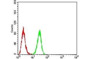 Flow cytometric analysis of Hela cells using ERBB4 mouse mAb (green) and negative control (red). (ERBB4 Antikörper  (AA 1159-1308))