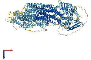 ABCC10 Protein (AA 1-1501) (His tag)