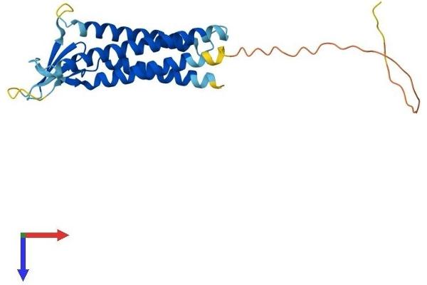 CLDN10 Protein (AA 1-228) (His tag)
