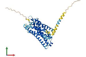 Protein Structure (PS) image for Formyl Peptide Receptor 1 (FPR1) (AA 1-350) protein (His tag) (ABIN7553980)
