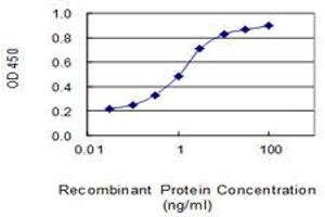 Detection limit for recombinant GST tagged NDUFA4 is 0. (NDUFA4 Antikörper  (AA 1-81))