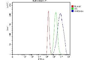 Flow Cytometry analysis of 293T cells using anti-PPP2R1A antibody (ABIN7603081).