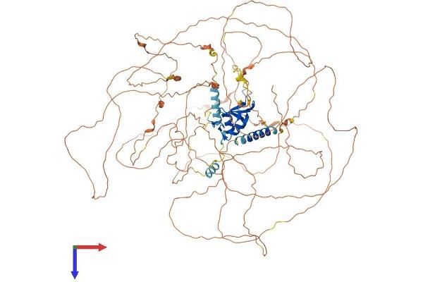 RNF111 Protein (AA 1-994) (His tag)