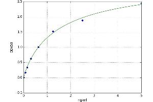 Epithelial Cell Adhesion Molecule (EPCAM) ELISA Kit
