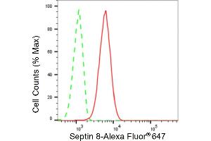 Flow cytometric analysis of Septin 8 expression in C2C12 cells using Septin 8 antibody (ABIN7800297), 1:2,000).