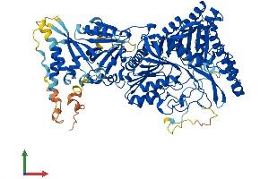 Protein Structure (PS) image for Phospholipase D2 (PLD2) (AA 1-933) protein (His tag) (ABIN7556829)