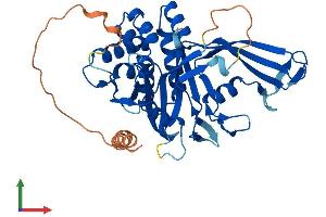 Protein Structure (PS) image for Ubiquitin Specific Peptidase 18 (USP18) (AA 1-372) protein (His tag) (ABIN7544988)