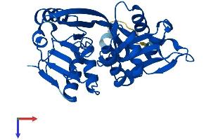 GLYAT Protein (AA 1-296) (His tag)