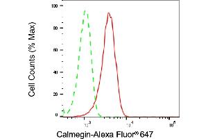Flow cytometric analysis of Calmegin expression in HeLa cells using Calmegin antibody (ABIN7797841), 1:2,000). (Rekombinanter Calmegin Antikörper)